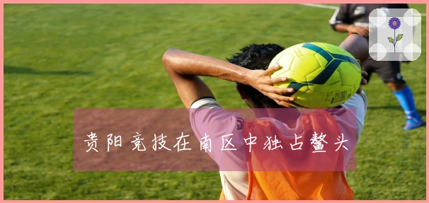 贵阳竞技在南区中独占鳌头