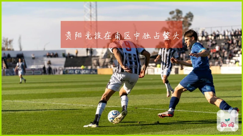 贵阳竞技在南区中独占鳌头